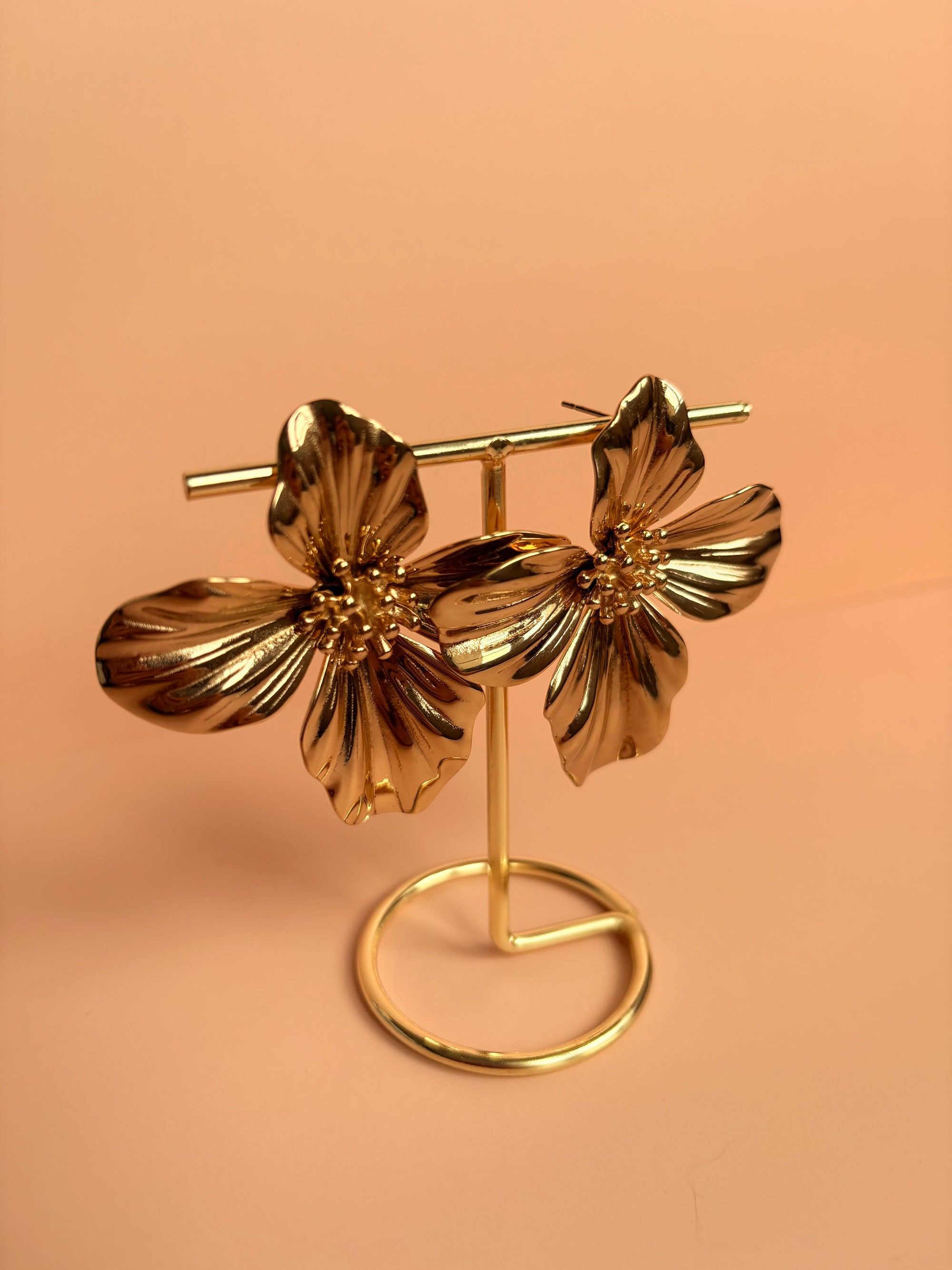 Boucles d'oreilles Soléna